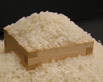 どの品種のお米を食べていますか