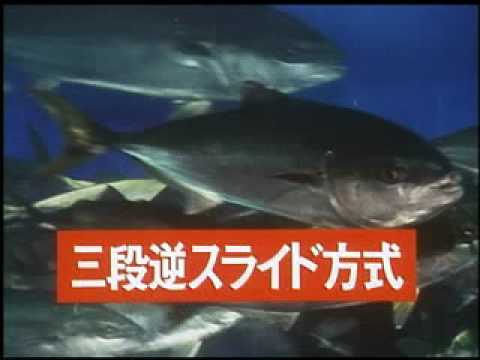 ハトヤ大漁苑篇 - YouTube