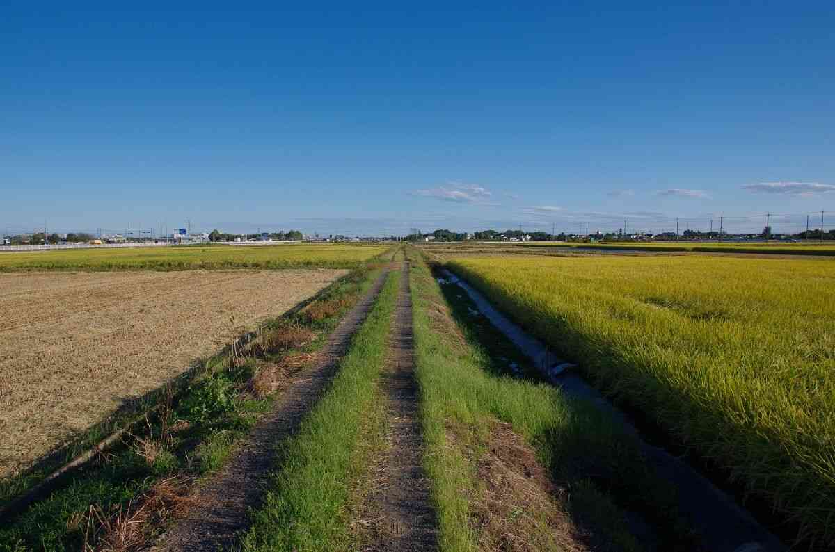 何月が一番好きですか?その訳は?