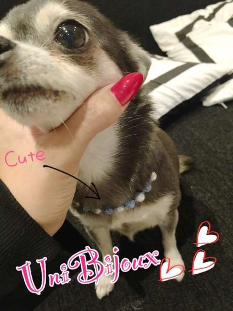 仁科仁美、結婚へ！年商150億円社長と春にも「すごく尊敬」