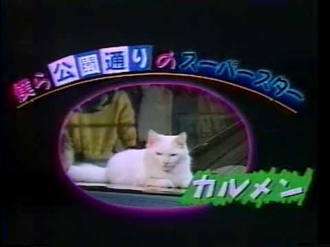 『公園通りの猫たち』 予告編 - YouTube
