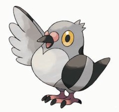 鳩胸の方