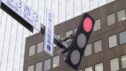 【悲報】LED型信号、熱くならず雪溶けず　吹雪になれば真っ白に…