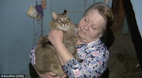 野良猫、置き去りにされた赤ん坊救う＝氷点下で数時間温める-ロシア