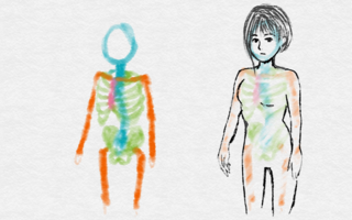 骨格と洋服の関係（胴が短い人）: かたはばひろみの逆三角形ブログ