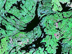 オマン湖 - Wikipedia