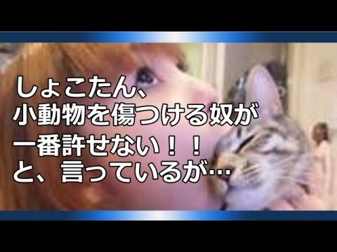 【閲覧注意】「かわゆすキモス！ひい！激しくにょろにょろ」中川翔子、ヒル飼育を動画で紹介