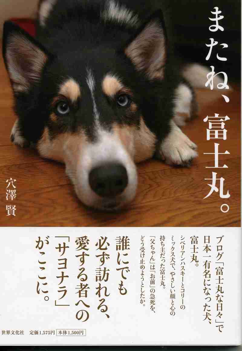 泣ける本