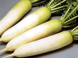 大根大量消費レシピありますか？