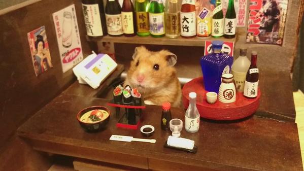 この居酒屋の店主可愛過ぎｗｗｗ