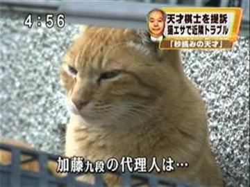 ガールズトークしませんか？