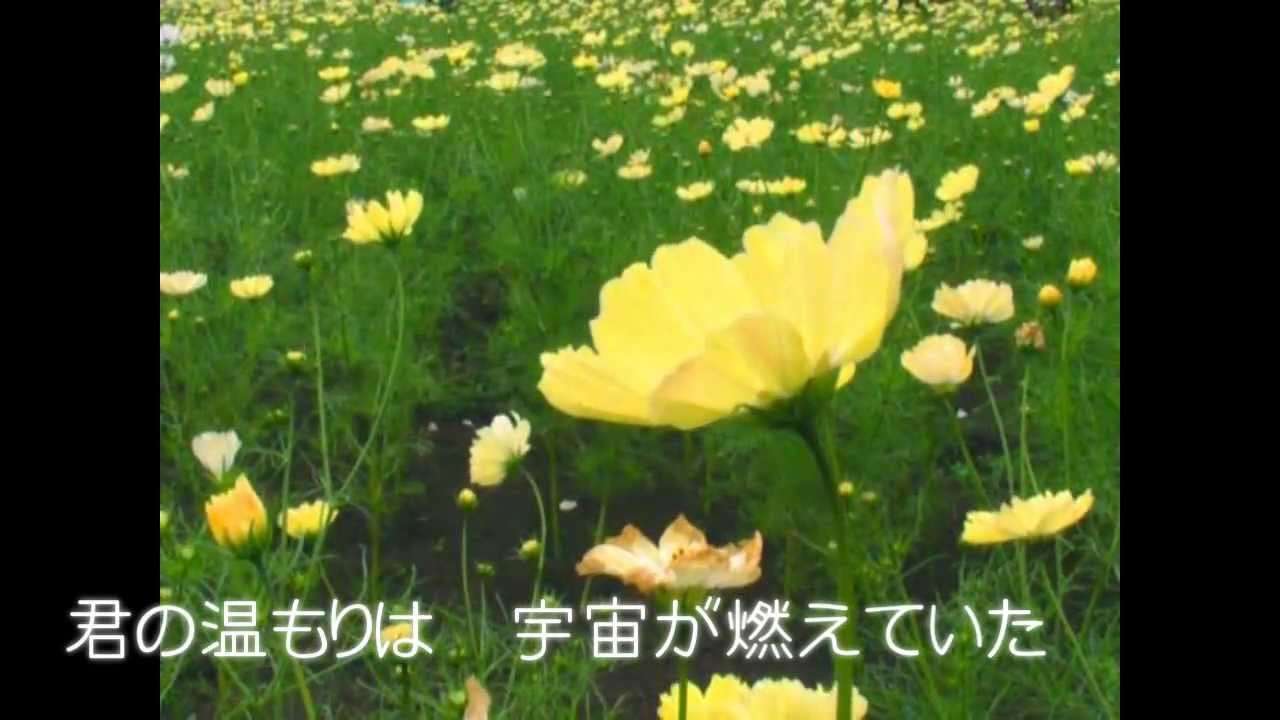 【合唱曲】COSMOS　（歌詞付き） - YouTube