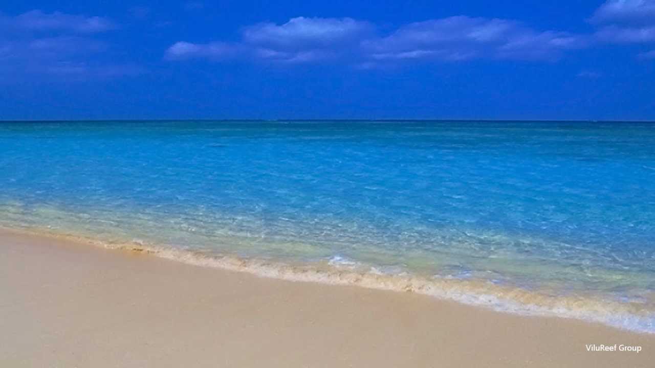 【作業用BGM】沖縄の海とカモメと波の音/Healing and Relaxing 2 hours - YouTube