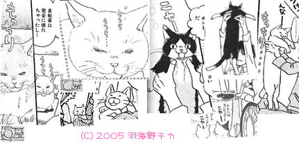 「ハチミツとクローバー」好きな人