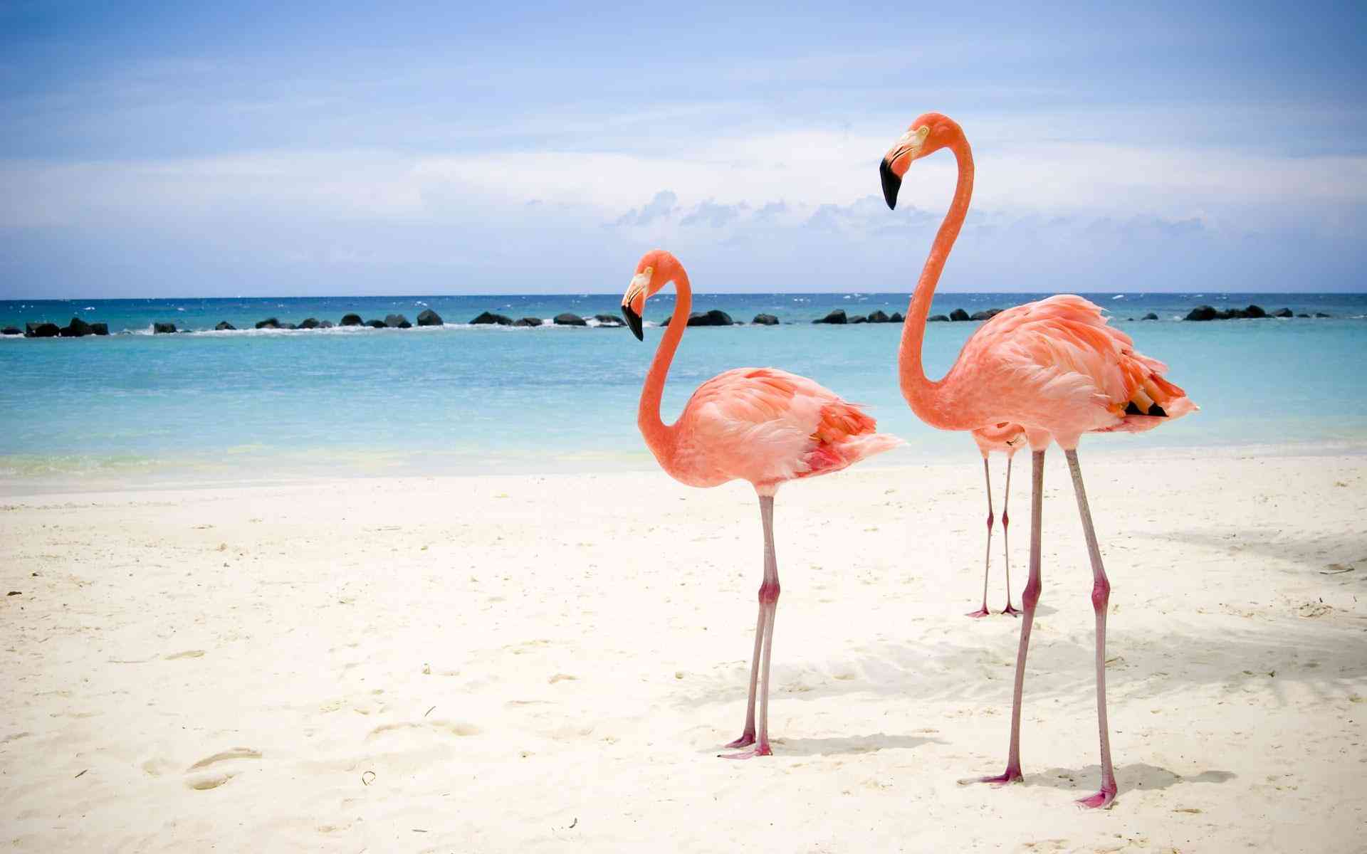 疲れている方々!海の画像で癒されませんか?