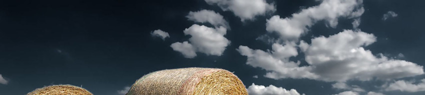 ホーム - hanzaihigaisha ページ！