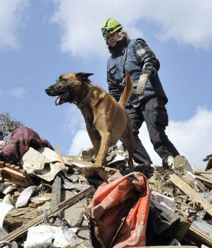 徳島県、動物愛護センターの収容犬を災害救助犬に育てる取り組みを発表　全国初
