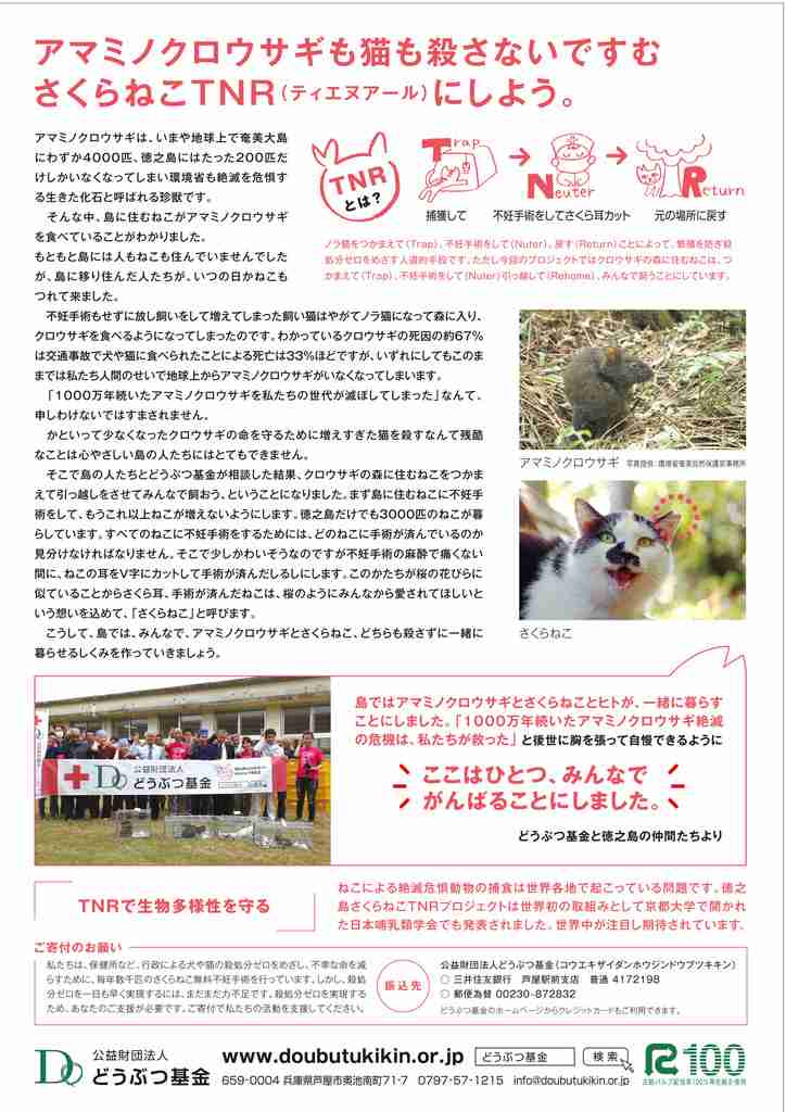 【徳之島】希少ウサギ守るため、島の猫3,000匹の不妊去勢プロジェクト進む