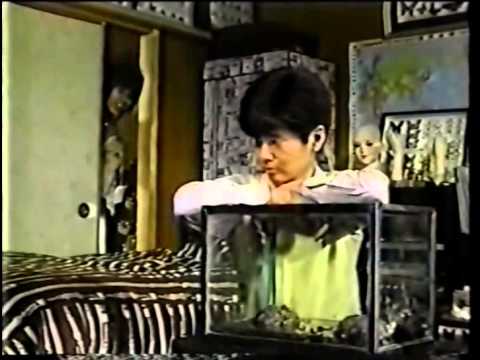 家族ゲームⅡ 第01話 1/4 - YouTube