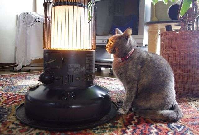 今の気持ちを画像で表すトピ