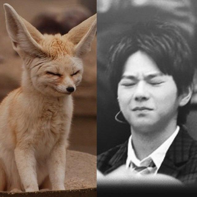 これすごく似てると思うものを貼るトピ