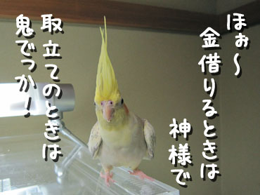 貸したお金が返ってこない時