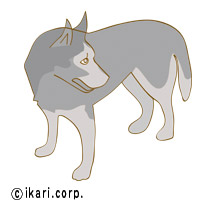 野良犬がいたら保護しますか