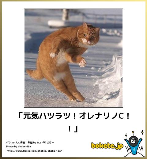 ガールズトークしませんか?