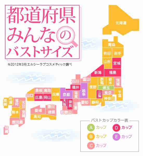 巨乳って何カップからだと思いますか？