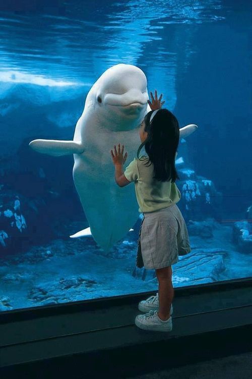 疲れている方々!海の画像で癒されませんか?