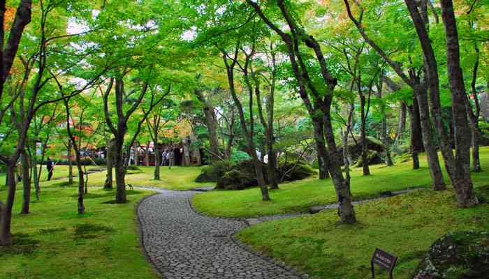 国内でおすすめの美術館・博物館の旅