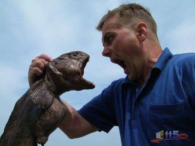 これすごく似てると思うものを貼るトピ