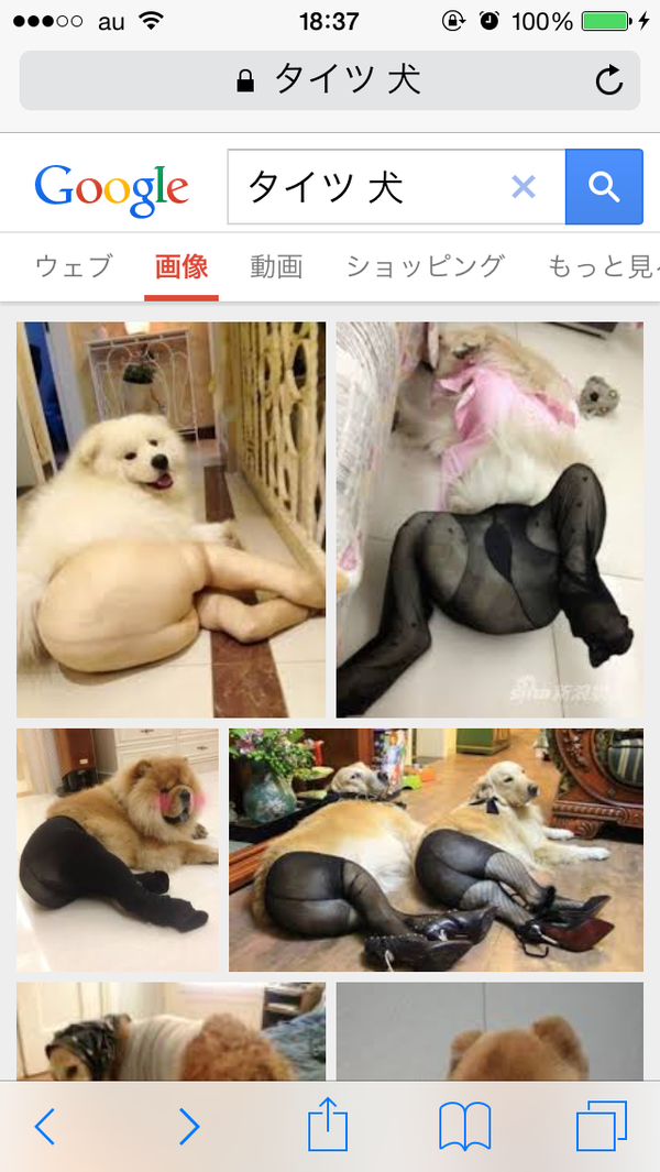 最近保存した画像載せてください!
