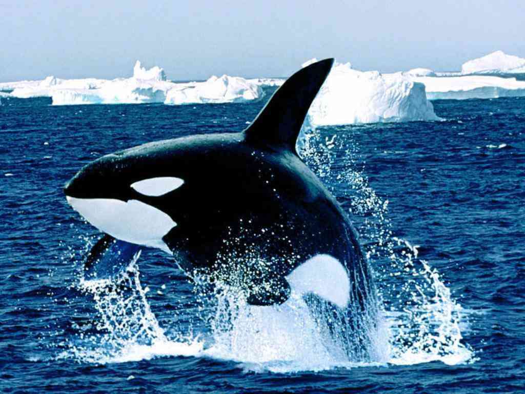 疲れている方々！海の画像で癒されませんか？