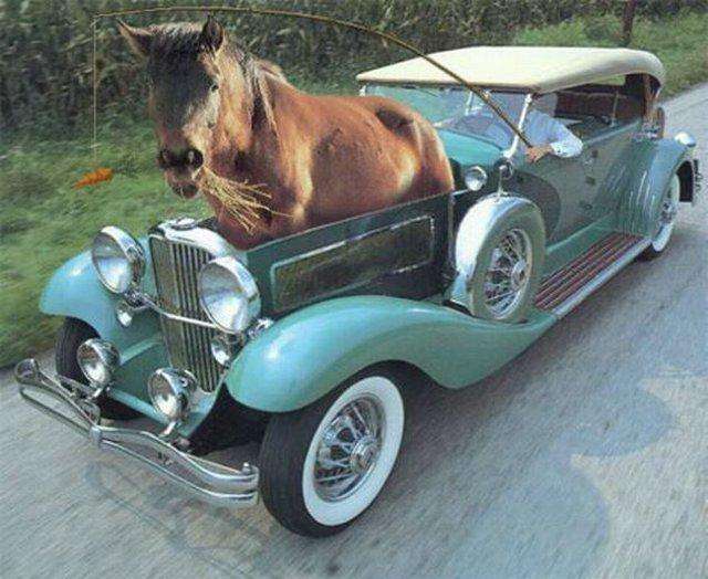 好きな車の画像