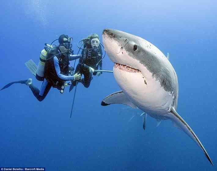 疲れている方々!海の画像で癒されませんか?