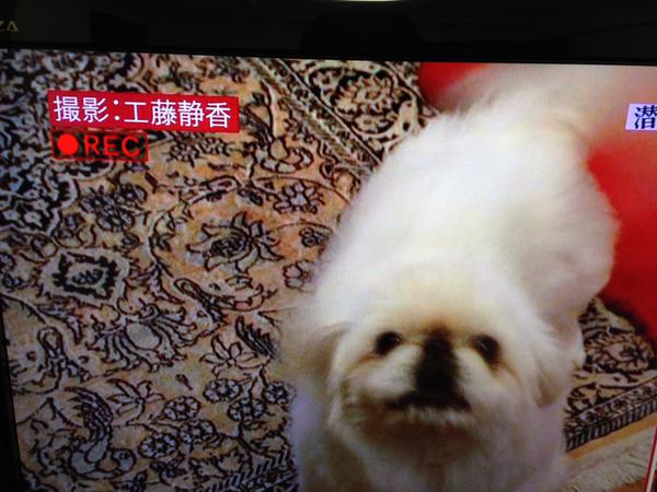 工藤静香 木村拓哉 自宅公開 は夫妻の家ではなく 工藤が両親と住んでいた実家だった ガールズちゃんねる Girls Channel 工藤静香 木村拓哉 自宅公開 は夫妻の家ではなく 工藤が両親と住んでいた実家だった ガールズちゃんねる Girls Channel