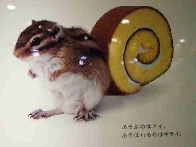 思わず笑ったキャッチコピーなど