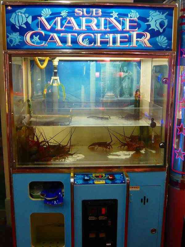 世界初！クレーンゲームの認定資格が誕生。日本クレーンゲーム協会も設立