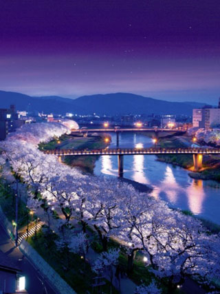 あなたの街の「桜の名所」、、、