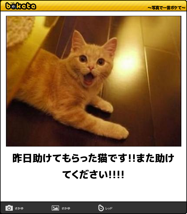 普段やらないから、失敗した事