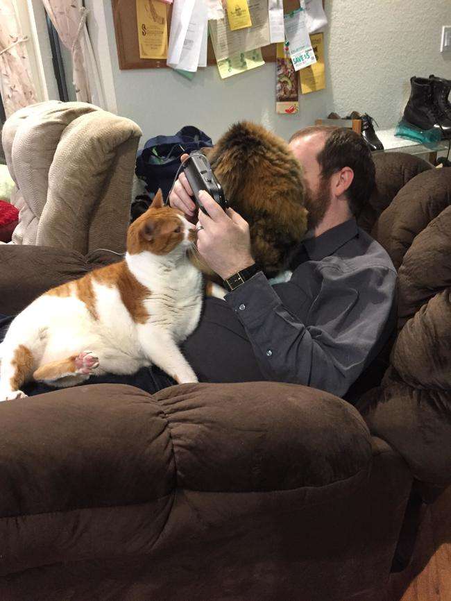 パーソナルスペースお構いなしに入り込んでくる犬や猫ｗｗｗｗｗｗ:ハムスター速報