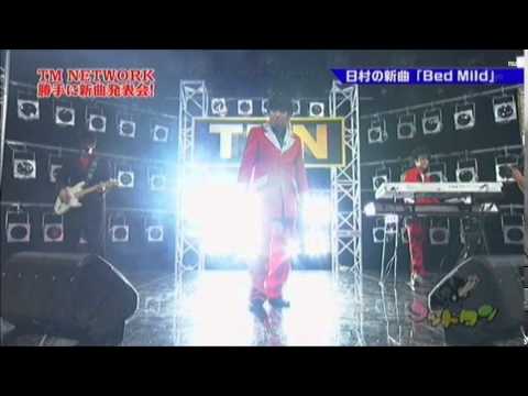 TM NEWネットワーク 「Bed Mild」 - YouTube