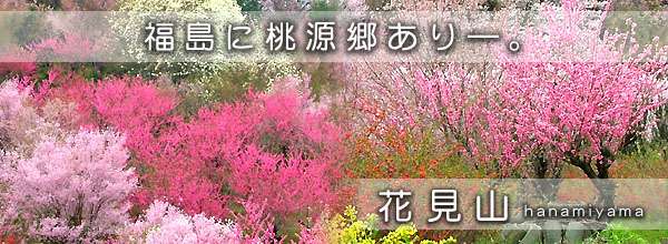 あなたの街の「桜の名所」、、、