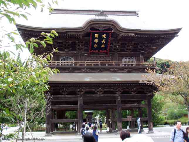 地元ならではの光景