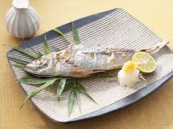 和食、洋食、中華、多く作る料理はなんですか？