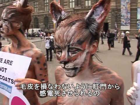 PETA、デザイナーたちの毛皮使用に抗議 - YouTube