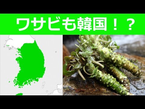 【韓国起源説】 相変わらず面白い韓国ウリジナル！ ワサビ韓国起源説を日本メディアが批判→「日本は歴史問題を正視せず」と批判される始末 - YouTube