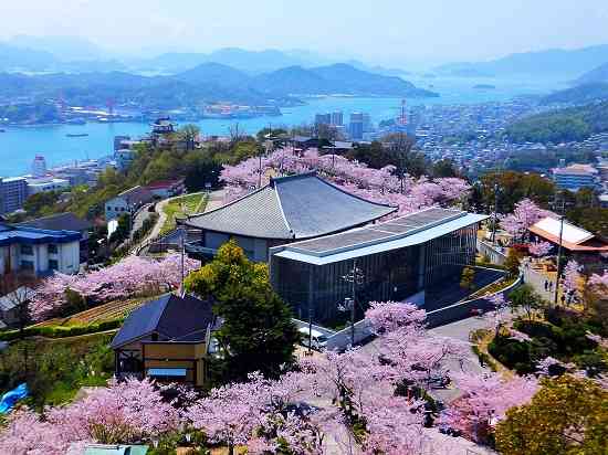 あなたの街の「桜の名所」、、、