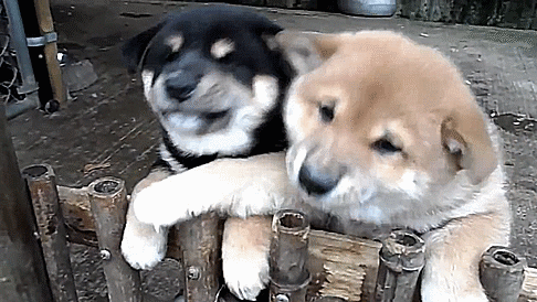 ( ̄▽ ̄)ニヤリとする画像ください